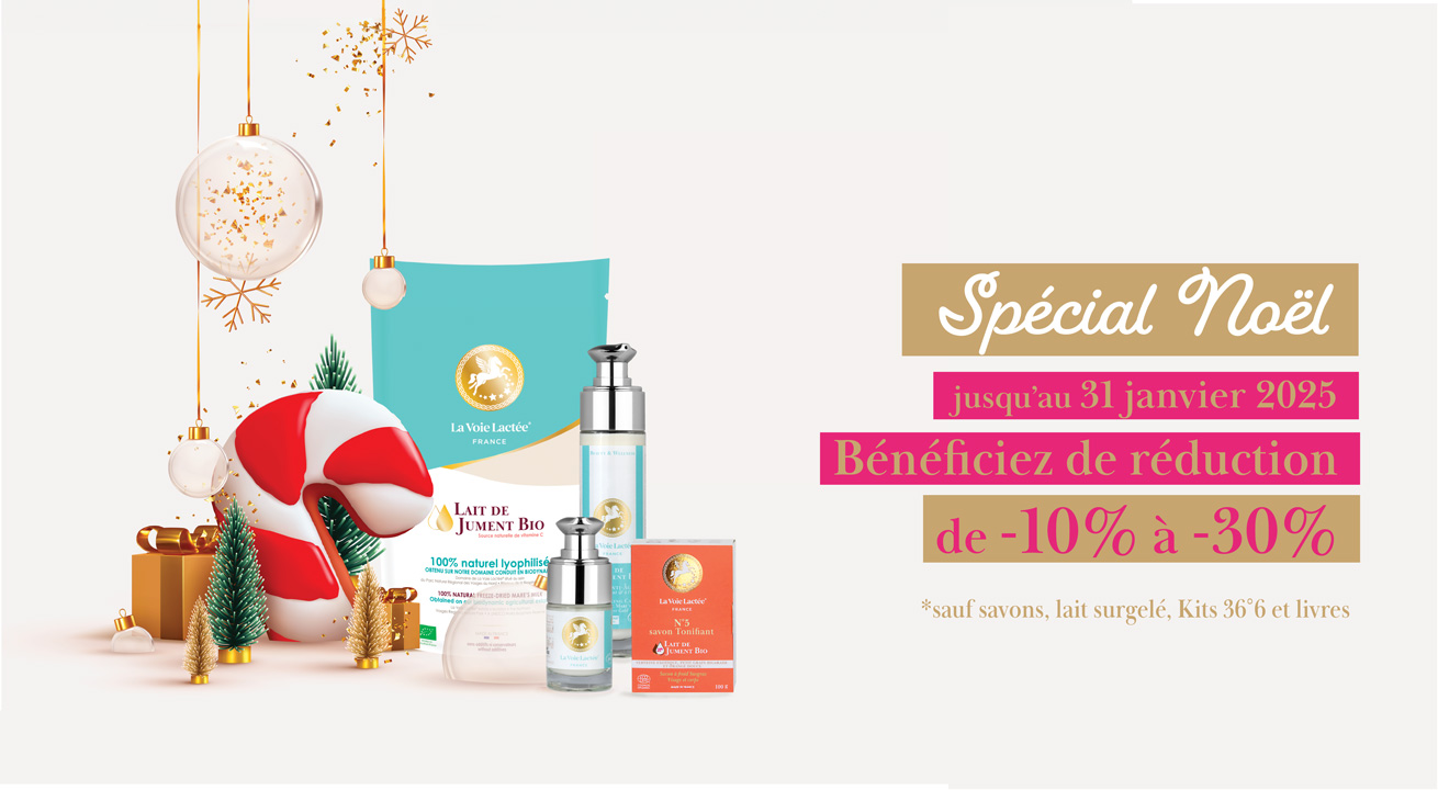 Spécial Noël : Des réductions de -10% à -30% jusqu'au 31 janvier 2015